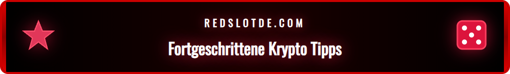 Infografik mit den besten Tipps und Tricks für Krypto-Zahlungen im Online-Casino.